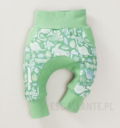 Spodnie niemowlęce DINOSAURS z bawełny organicznej dla chłopca