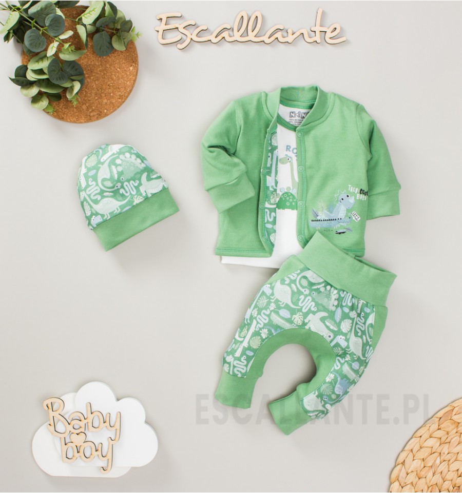 Spodnie niemowlęce DINOSAURS z bawełny organicznej dla chłopca