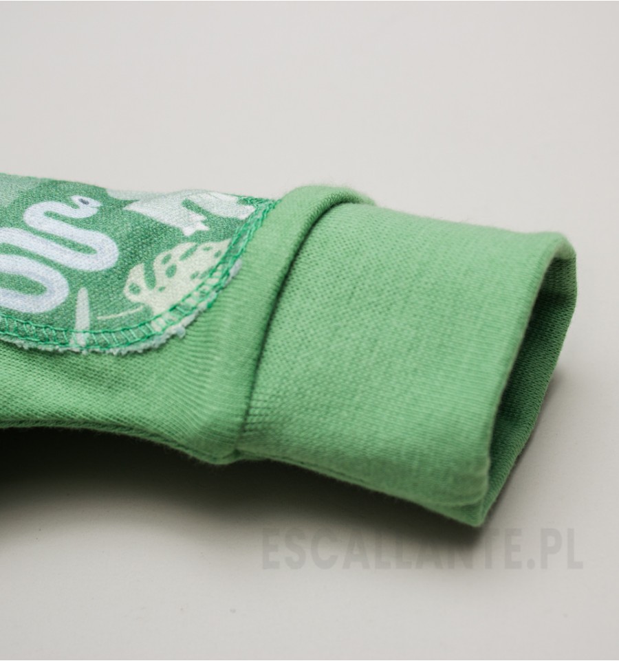 Zielone spodnie DINOSAURS z bawełny organicznej dla chłopca