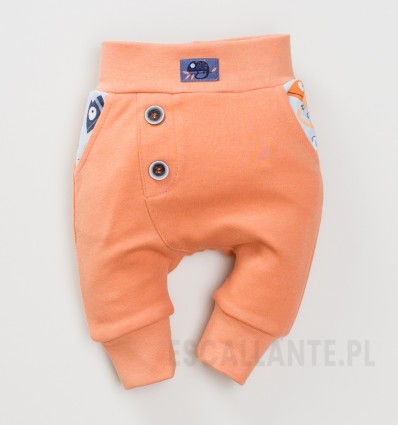 Pomarańczowe spodnie I LIKE KAMELEON z bawełny organicznej dla chłopca