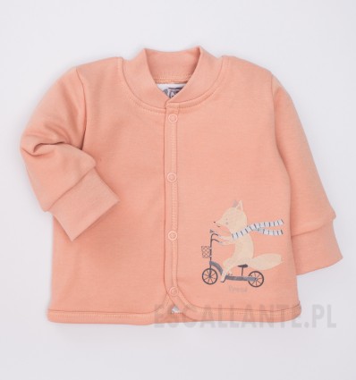 Bluza niemowlęca SPEED z bawełny organicznej dla chłopca
